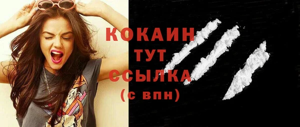 твердый Арсеньев
