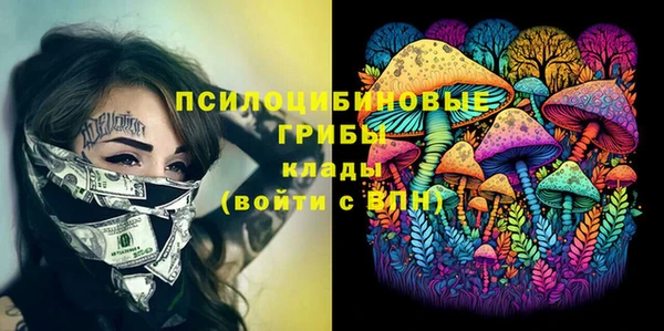 винт Аркадак