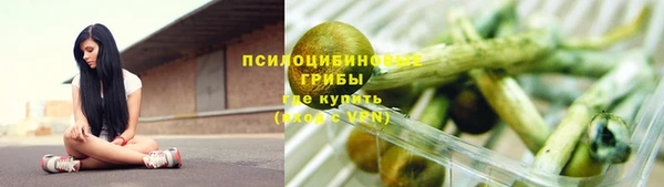 твердый Арсеньев