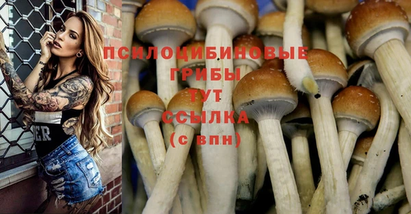 твердый Арсеньев