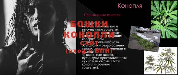 винт Аркадак